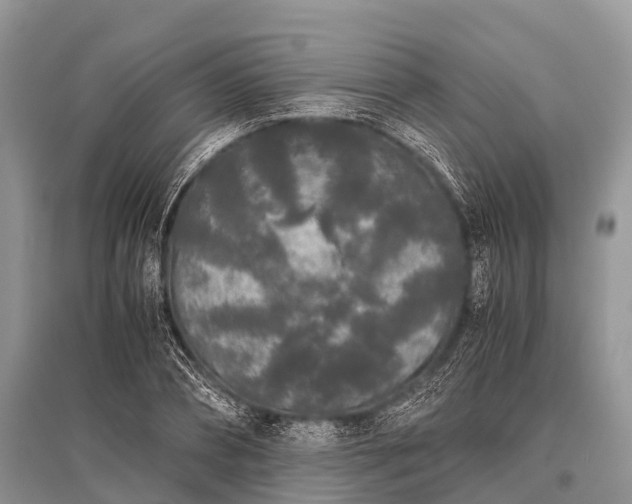 X0000096140882200801251038