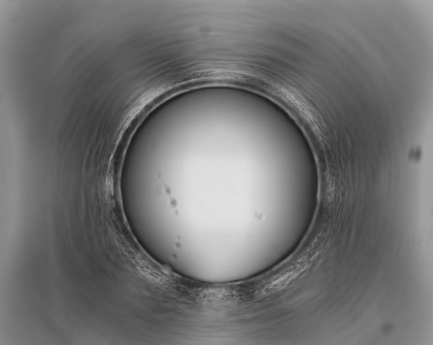 X0000096140883200801251038