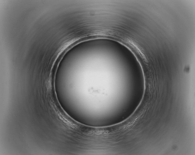 X0000096140884200801251038