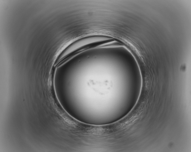 X0000096140885200801251038