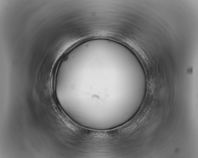 X0000096140886200801251038