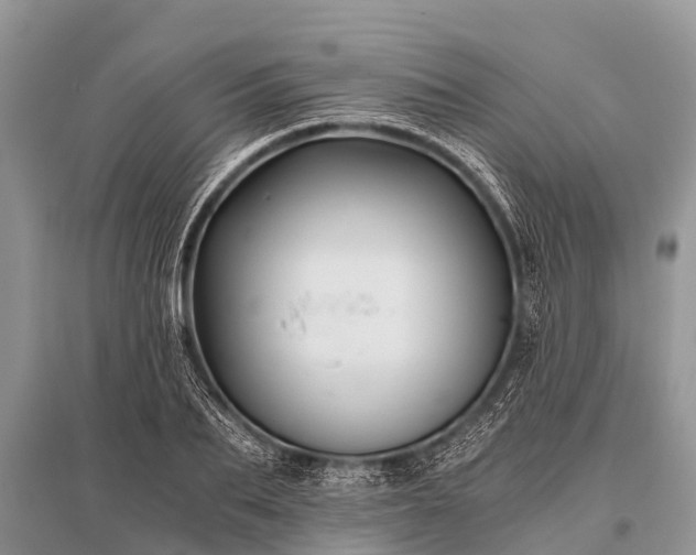 X0000096140887200801251038