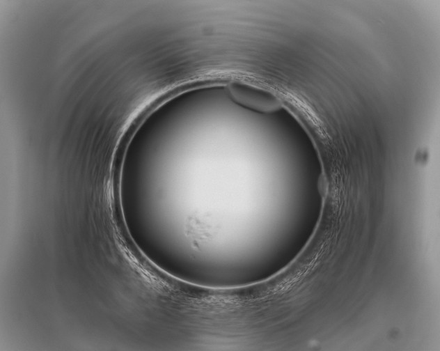 X0000096140888200801251038