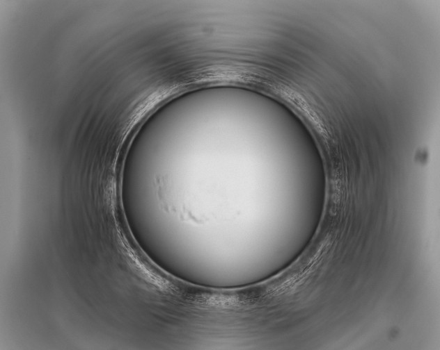 X0000096140890200801251038