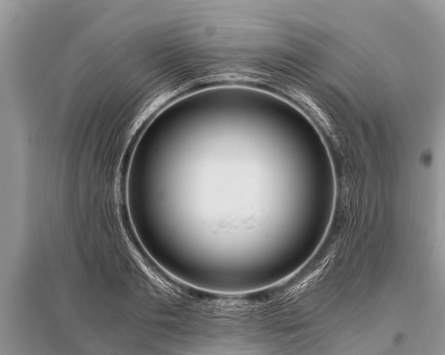 X0000096140893200801251038