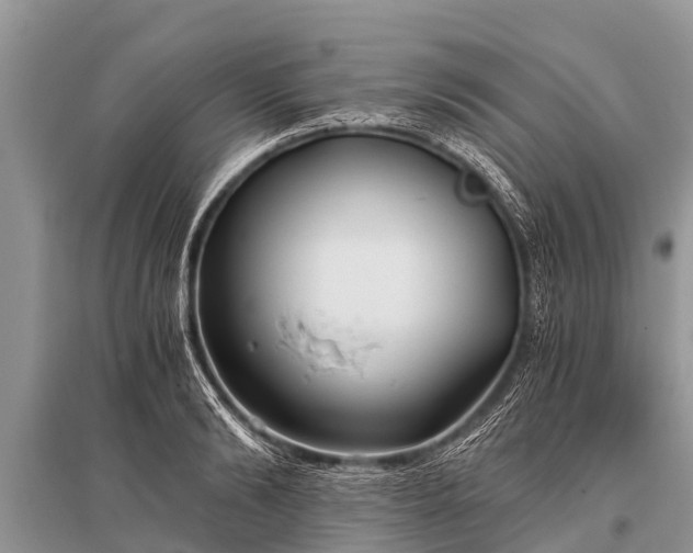 X0000096140894200801251038