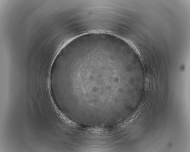 X0000096140895200801251038