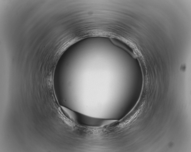 X0000096140897200801251038