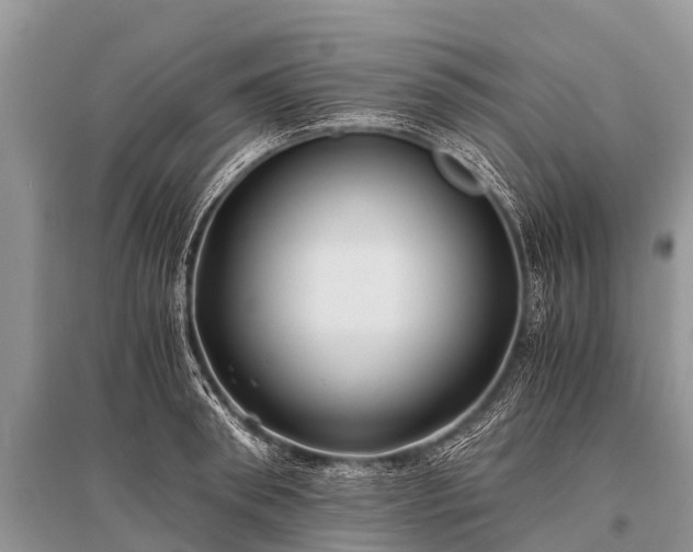 X0000096140898200801251038