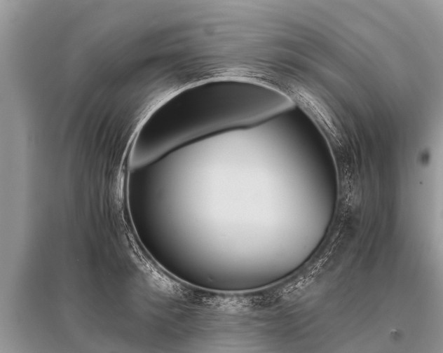 X0000096140900200801251038