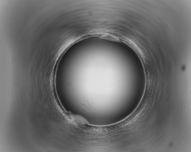 X0000096140901200801251038