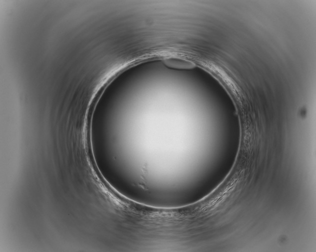 X0000096140902200801251038