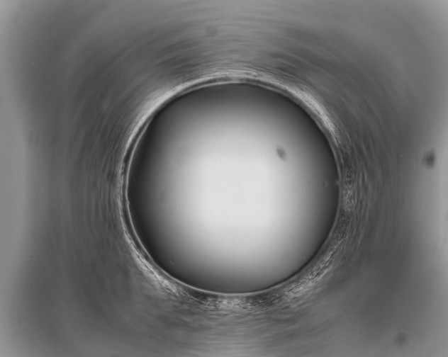X0000096140903200801251038
