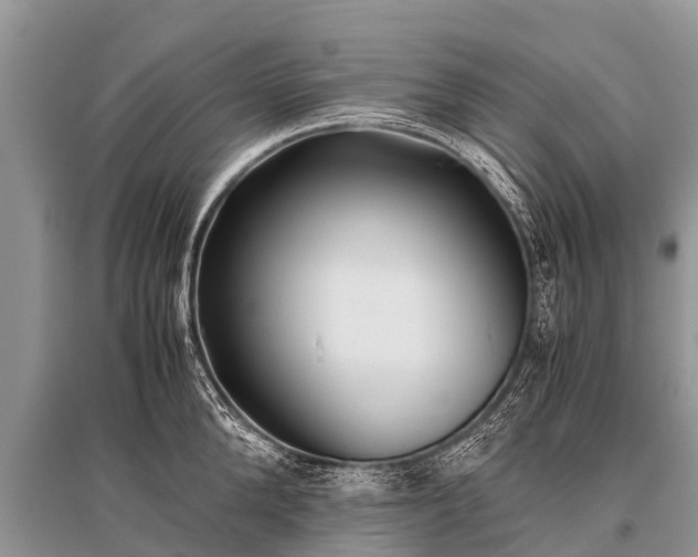 X0000096140904200801251038
