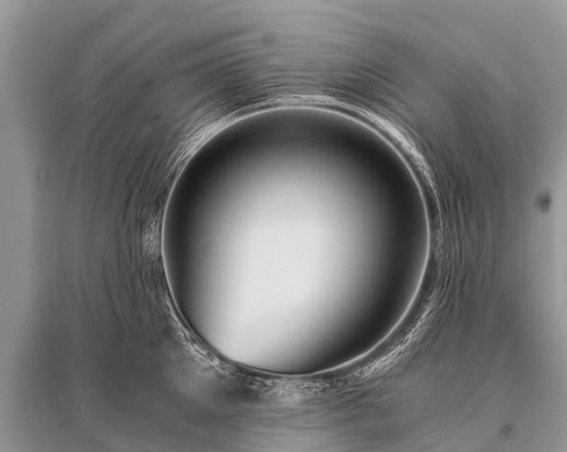 X0000096140905200801251038