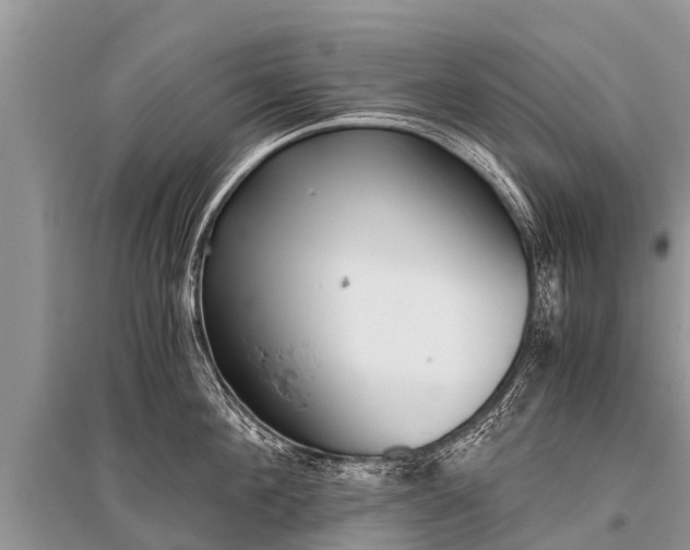 X0000096140908200801251038