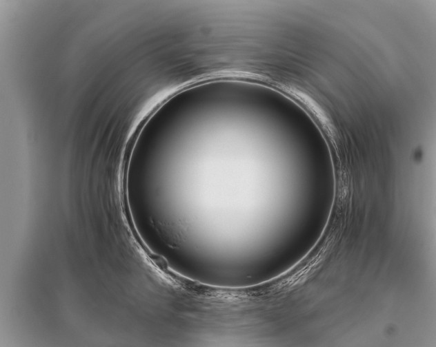 X0000096140910200801251038
