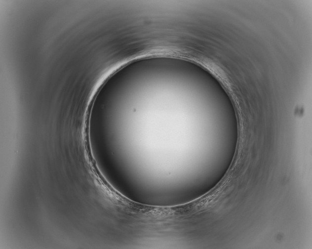X0000096140912200801251038
