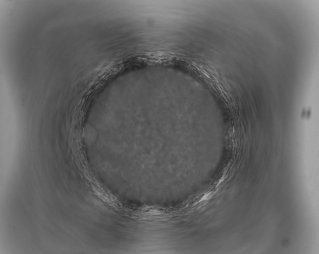 X0000096140913200801251037