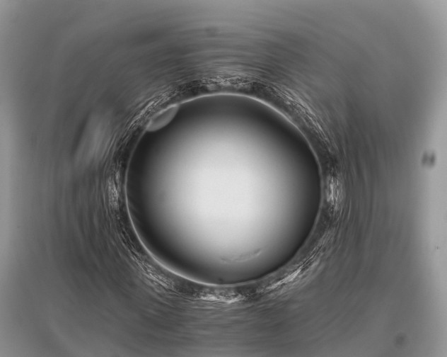 X0000096140915200801251037
