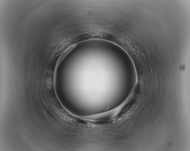 X0000096140916200801251037