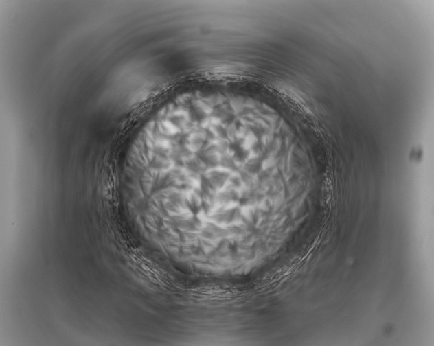 X0000096140917200801251037