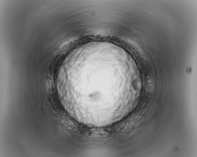 X0000096140918200801251037