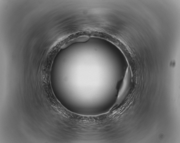 X0000096140919200801251037
