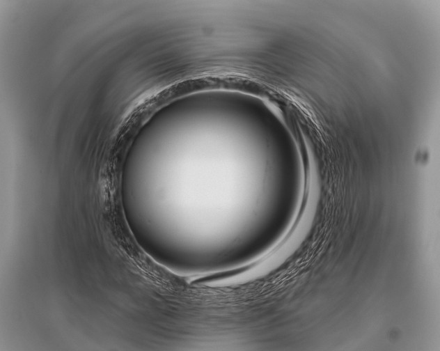X0000096140920200801251037