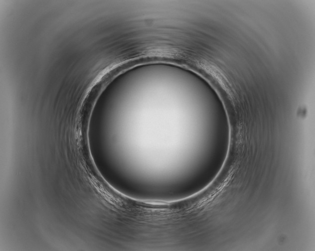 X0000096140923200801251037