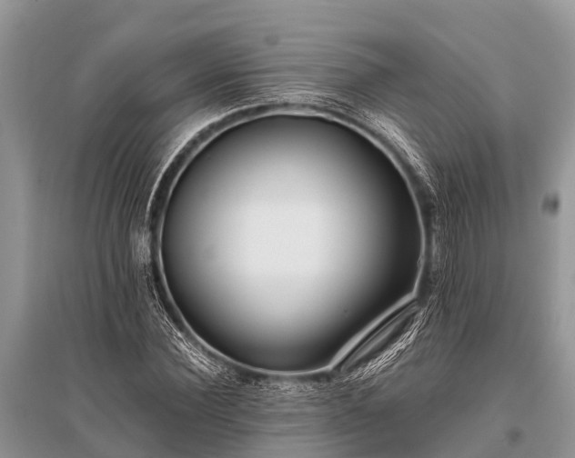 X0000096140924200801251037