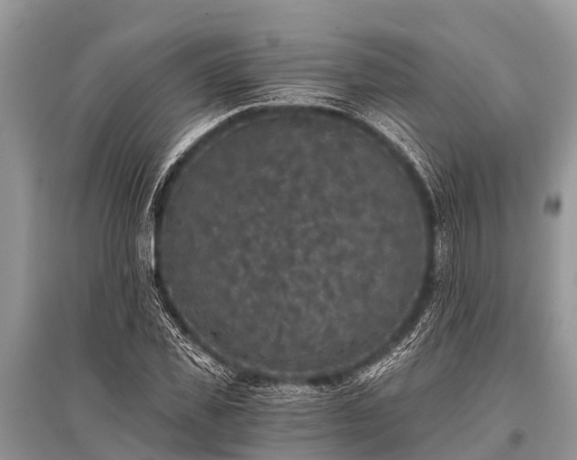 X0000096140925200801251038