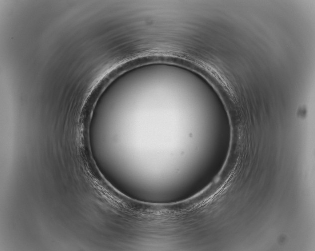 X0000096140926200801251038