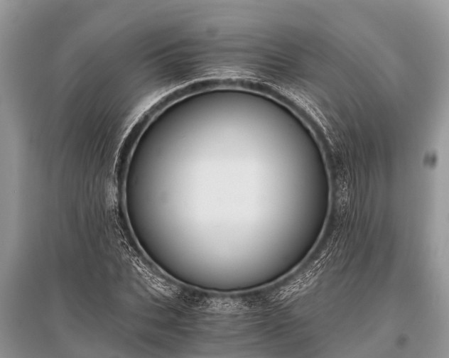 X0000096140927200801251038