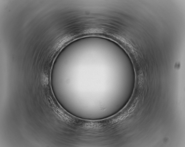 X0000096140929200801251038