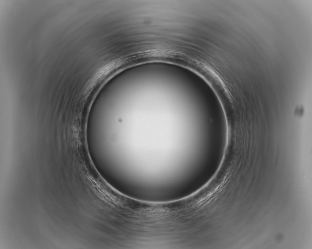 X0000096140930200801251038