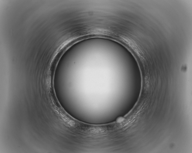 X0000096140931200801251038