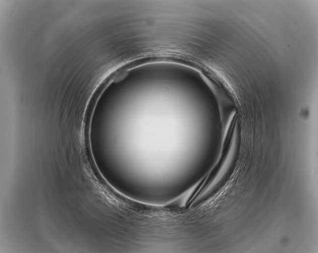 X0000096140932200801251038
