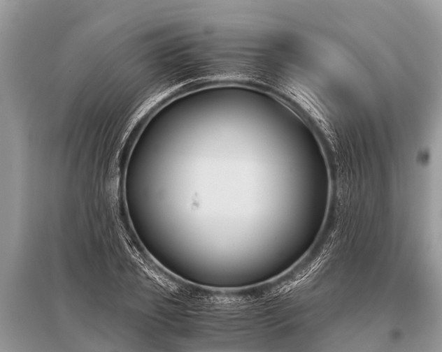 X0000096140933200801251038