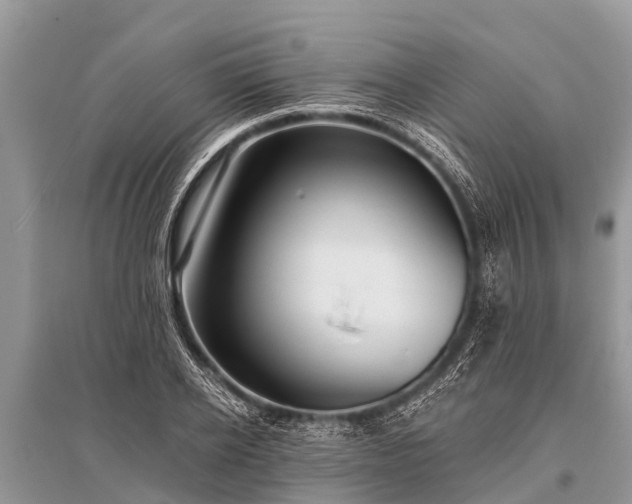 X0000096140934200801251038
