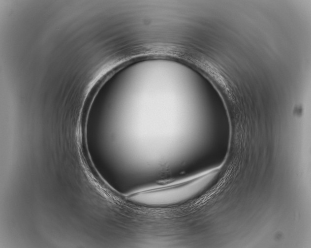 X0000096140936200801251038