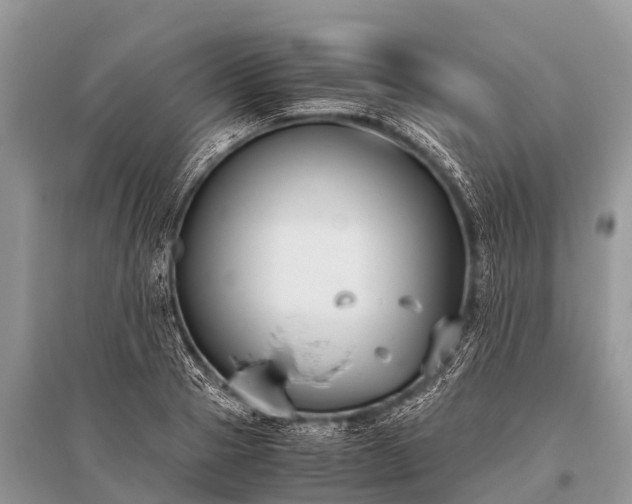 X0000096140937200801251038
