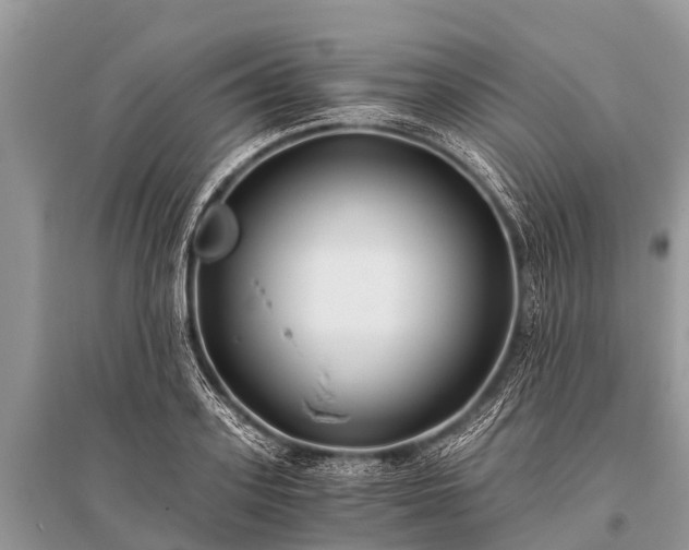 X0000096140939200801251038