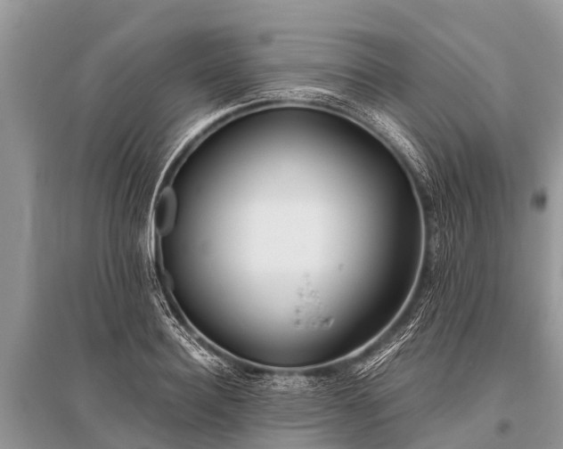 X0000096140940200801251038