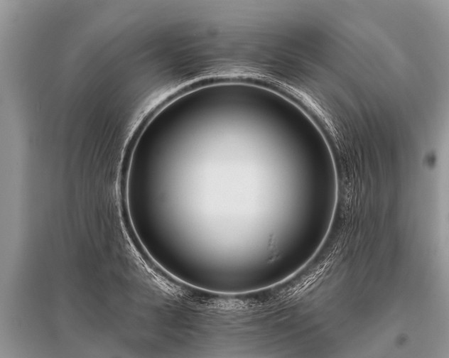 X0000096140943200801251038