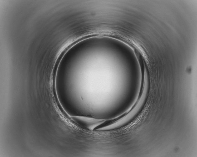 X0000096140944200801251038