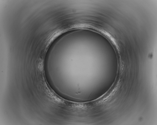 X0000096140945200801251038
