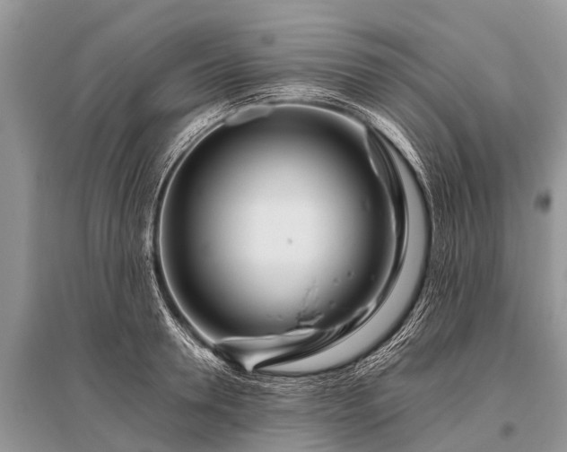 X0000096140946200801251038