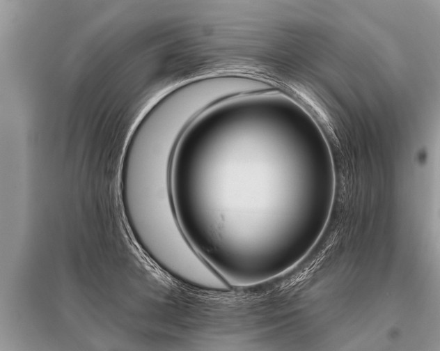 X0000096140948200801251038
