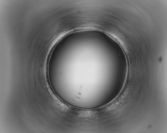 X0000096140949200801251038